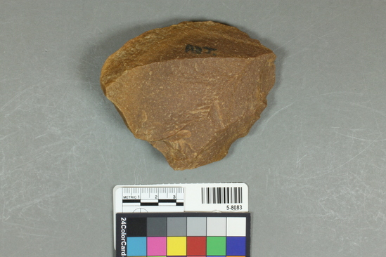 Hearst Museum object titled Flake, accession number 5-8083, described as flake; unifacial; cortex on back; L 4.8cm