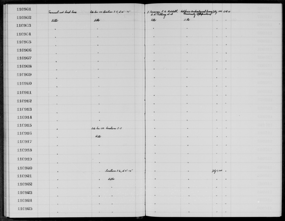 Documentation associated with Hearst Museum object titled Faunal remains, accession number 1-110908, described as Mammal and bird.