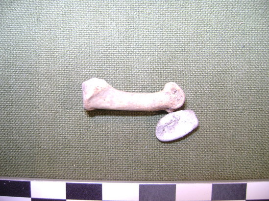 Hearst Museum object 2 of 4 titled Faunal remains, accession number 2-35902, described as Unidentified bone. Phalanx.