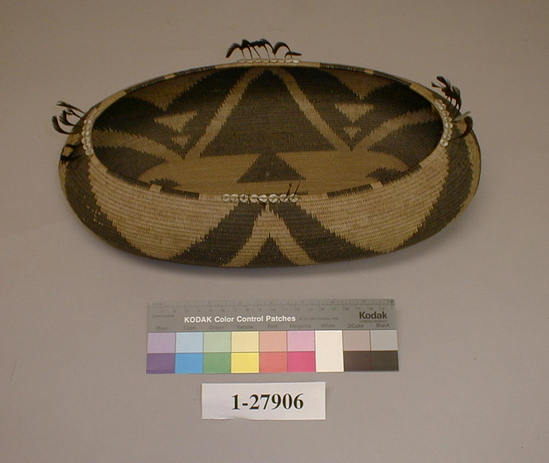 Hearst Museum object titled Basket, accession number 1-27906, described as Single rod coiled.  Elliptical black design.  Quail crest and clam shells on rim.