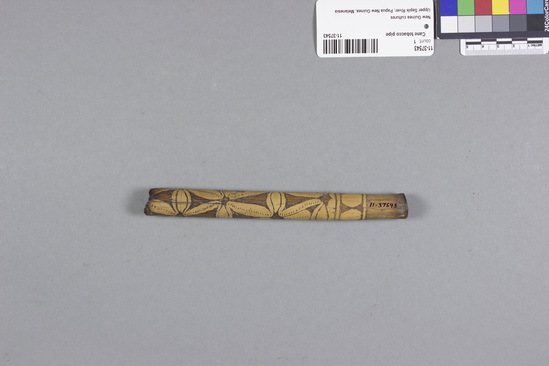 Hearst Museum object 2 of 2 titled Cane tobacco pipe, accession number 11-37543, described as Tobacco pipe, cane, with incised designs filled with black pigment, 16.5 cm long. Used for smoking.