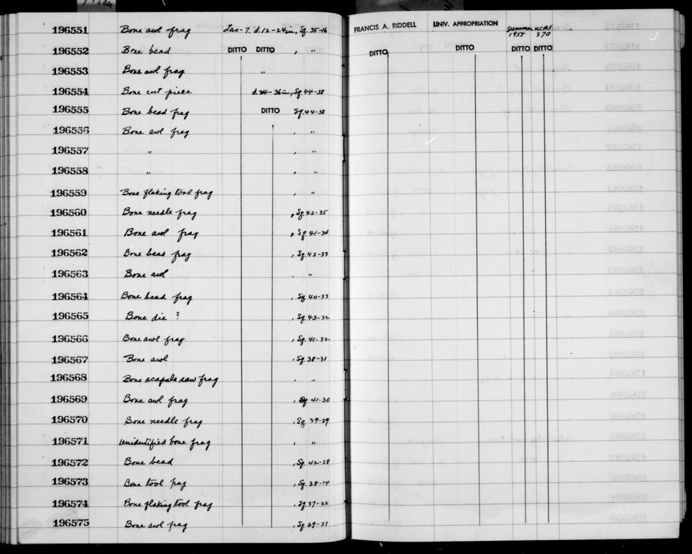 Documentation associated with Hearst Museum object titled Awl fragment, accession number 1-196561, described as Bone.