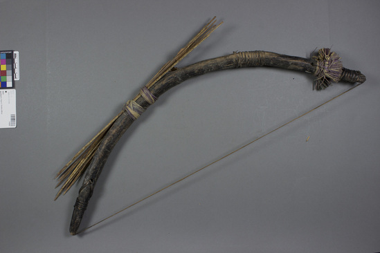 Hearst Museum object titled Bow and arrows, accession number 5-6297, described as 1 bow, 10 arrows