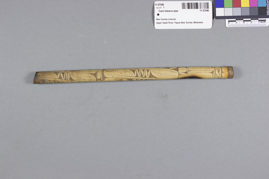 Hearst Museum object 1 of 2 titled Cane tobacco pipe, accession number 11-37540, described as Tobacco pipe, cane, with incised designs filled with black pigment, 26 cm long. Used for smoking.