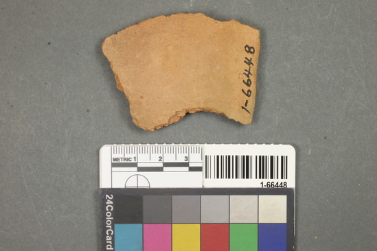 Hearst Museum object titled Potsherd, accession number 1-66448, described as Tumco Buff, scoop rim.