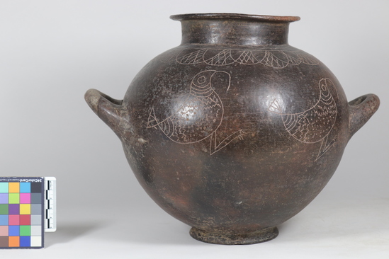 Hearst Museum object titled Globular pot, accession number 8-1771a, described as Globular pot with incised birds.