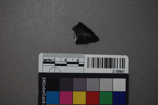 Hearst Museum object titled Projectile point fragment, accession number 2-39901, described as Obsidian projectile point tip