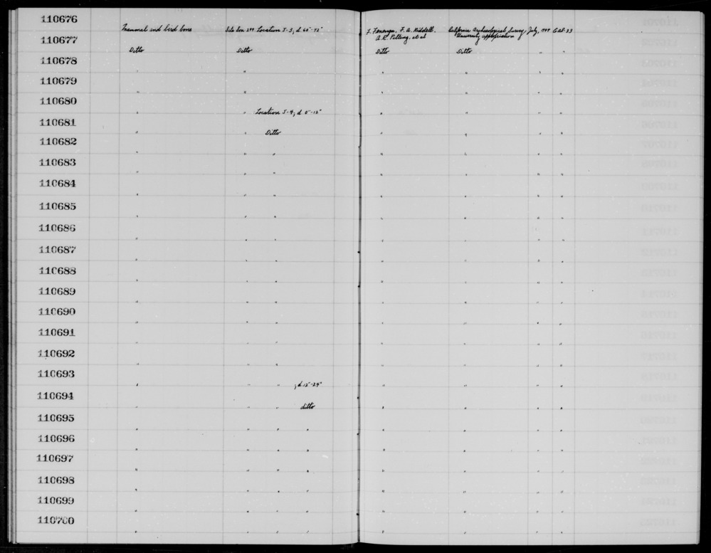 Documentation associated with Hearst Museum object titled Faunal remains, accession number 1-110693, described as Mammal and bird.