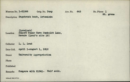 Documentation associated with Hearst Museum object titled Bark, accession number 1-21246, described as Sagebrush bark, Artemisia. Compare with 21541. Half sold.