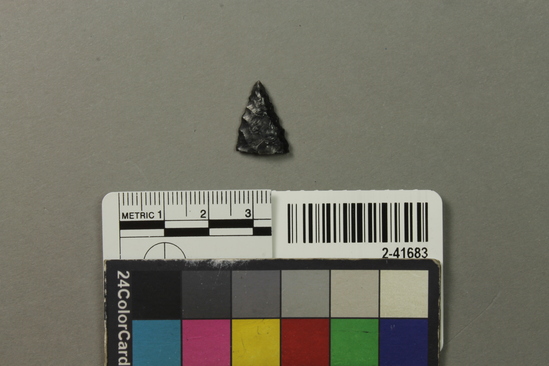 Hearst Museum object titled Projectile point, accession number 2-41683, described as No description given on catalog card.