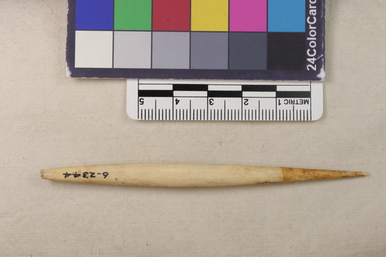 Hearst Museum object titled Arrowhead, accession number 6-2344, described as Bone arrow point poisoned