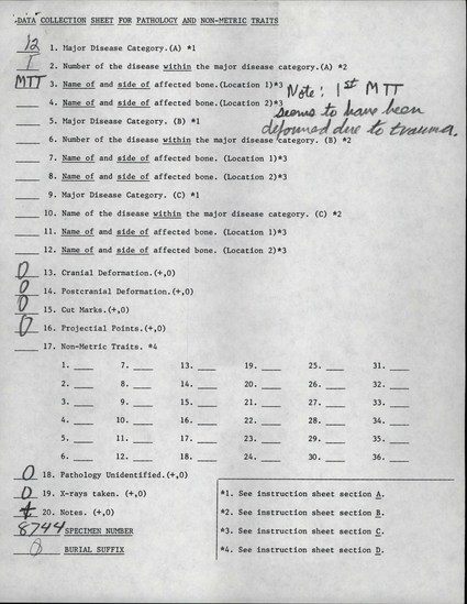 Documentation associated with Hearst Museum object titled Human remains, accession number 12-8744(0), described as Remains of one young adult (20 year old) male.