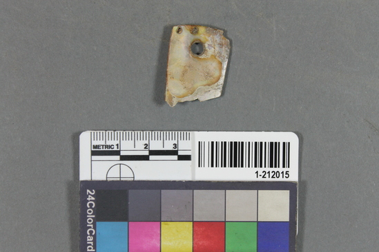 Hearst Museum object titled Pendant fragment, accession number 1-212015, described as Triangular haliotis; one end perforated; broken or fragmentary.