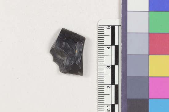 Hearst Museum object 2 of 2 titled Flake fragment, accession number 16-14383, described as Projectile point fragment; obsidian; triangular; weight: 2.9 grams; length: 1.8 cm; width: 2.15 cm; depth: 0.62 cm.