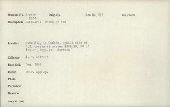 Documentation associated with Hearst Museum object titled Potsherd, accession number 3-9562, described as Potsherd: white on red.