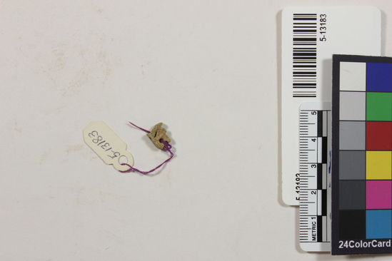 Hearst Museum object titled Amulet, accession number 5-13183, described as Amulet, two holes drilled transversely and horizontally through amulet, heavily eroded, 1 cm x 0.5 cm.