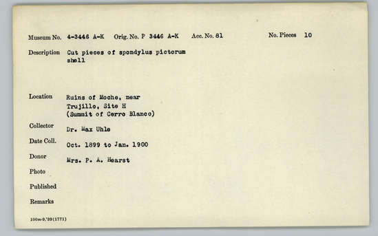 Documentation associated with Hearst Museum object titled Worked shell, accession number 4-3446b, described as Cut pieces of Spondylus pictorum shell.