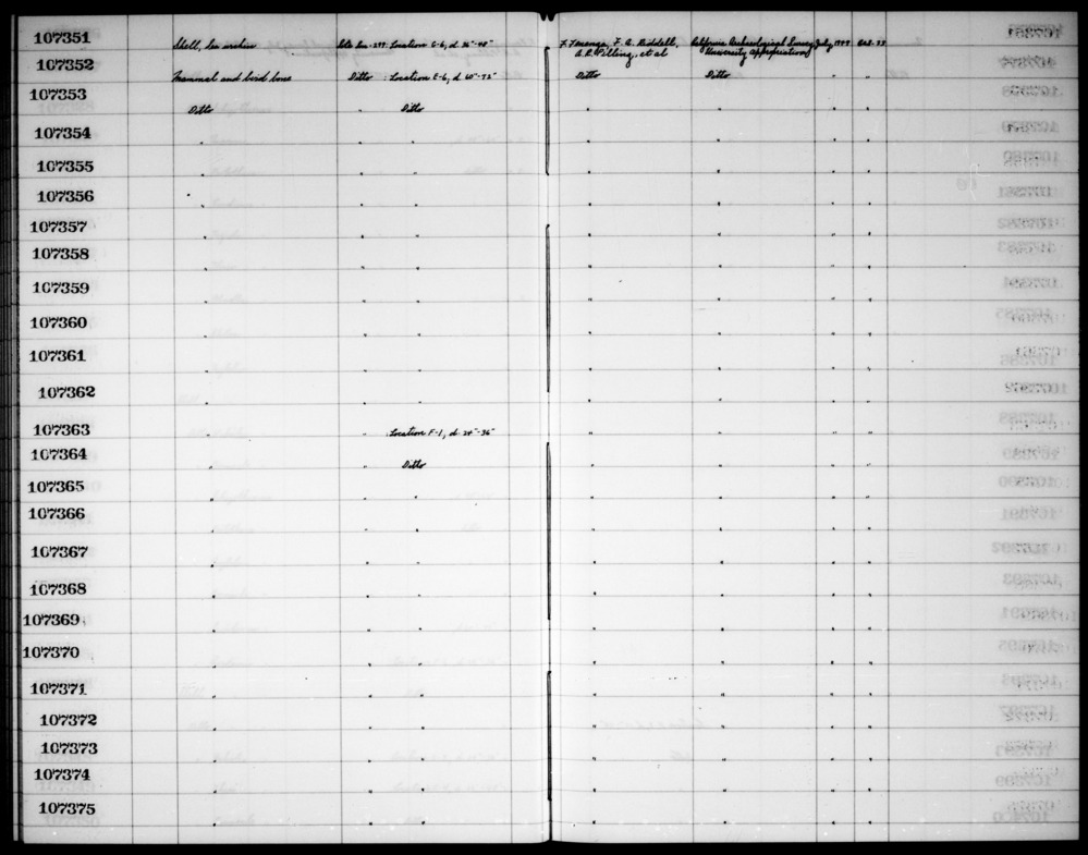 Documentation associated with Hearst Museum object titled Faunal remains, accession number 1-107368, described as Mammal and bird bone.