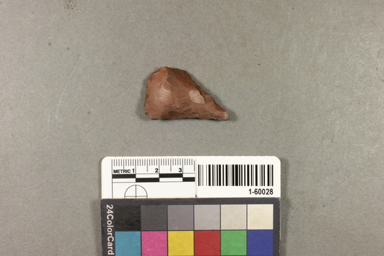 Hearst Museum object titled Projectile point fragment, accession number 1-60028, described as Arrowpoint fragment