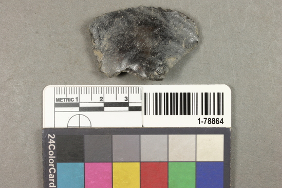 Hearst Museum object titled Scraper, accession number 1-78864, described as Obsidian.