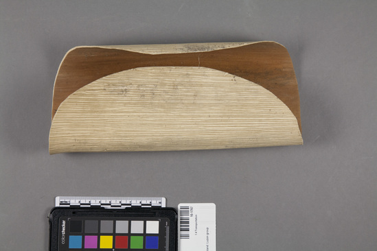 Hearst Museum object titled Cover mat, accession number 10-1767, described as Areca palm spathe cover for carrying baskets; 9¾ inches maximum width
