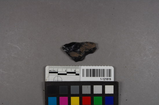 Hearst Museum object titled Blade, accession number 1-121819, described as Obsidian blade fragment