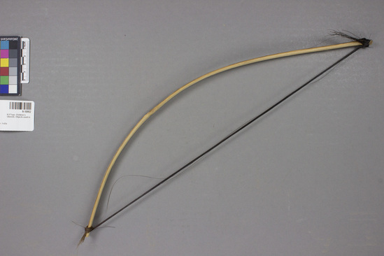 Hearst Museum object 2 of 2 titled Musical bow, accession number 9-10952, described as bow for child's stringed musical instrument; bamboo horsehair; 43 cm length;