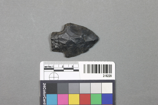 Hearst Museum object titled Projectile point, accession number 2-9220, described as Bluish-black arrowpoint