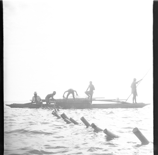 Hearst Museum object titled Black-and-white negative, accession number 15-31474, described as Black-and-white negative, Ponape, Fishing, 1946