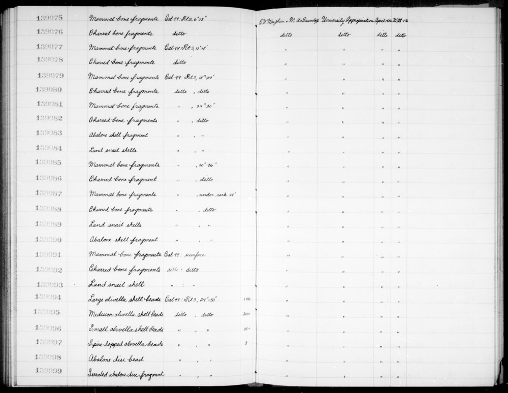 Documentation associated with Hearst Museum object titled Shell, accession number 1-139084, described as Land snail