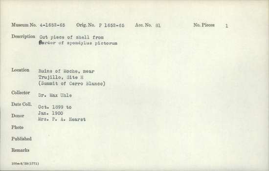 Documentation associated with Hearst Museum object titled Cut shell piece, accession number 4-1664, described as Cut piece of shell from border of Spondylus pictorum.