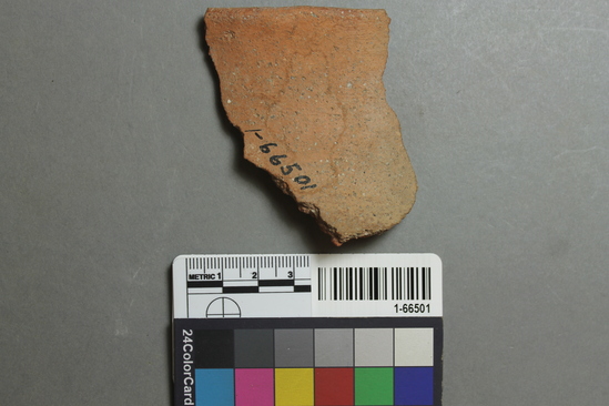 Hearst Museum object titled Olla fragment, accession number 1-66501, described as Topoc Buff, olla rim.