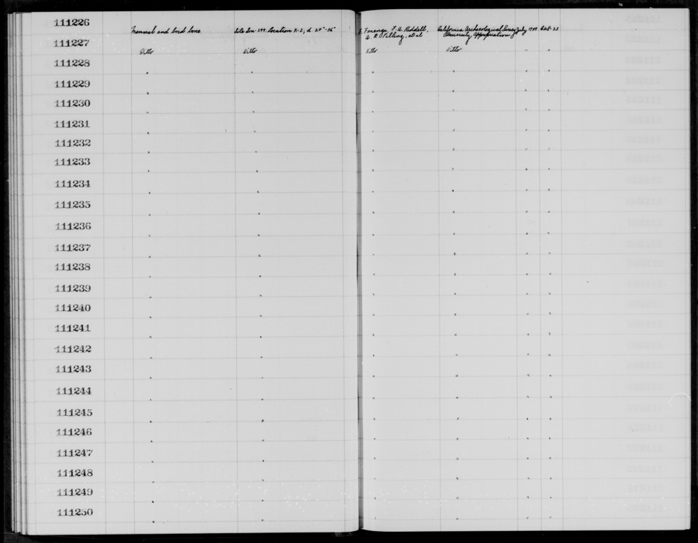 Documentation associated with Hearst Museum object titled Faunal remains, accession number 1-111243, described as Mammal and bird bone.