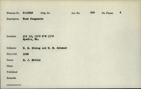 Documentation associated with Hearst Museum object titled Wood fragments, accession number 2-12349, described as Wood fragments.