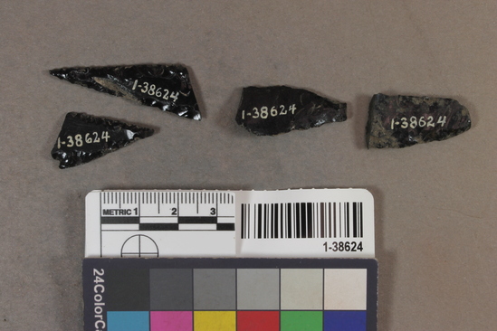 Hearst Museum object titled Projectile points, accession number 1-38624, described as Obsidian.