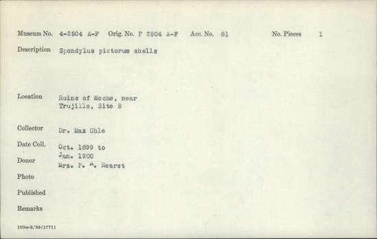 Documentation associated with Hearst Museum object titled Shell, accession number 4-2504e, described as Spondylus pictorum shells