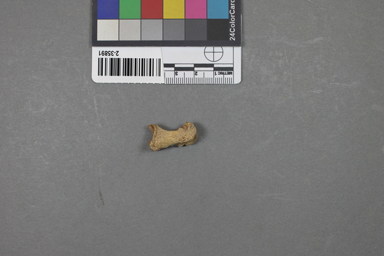 Hearst Museum object titled Mammal bone, accession number 2-35891, described as Bear phalanx.