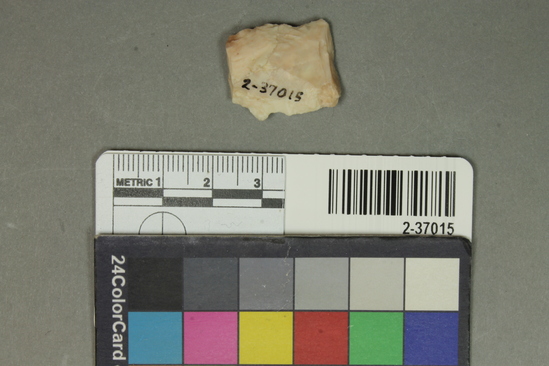 Hearst Museum object titled Stone tool fragment, accession number 2-37015, described as Section of a crude point of blade of pink flint