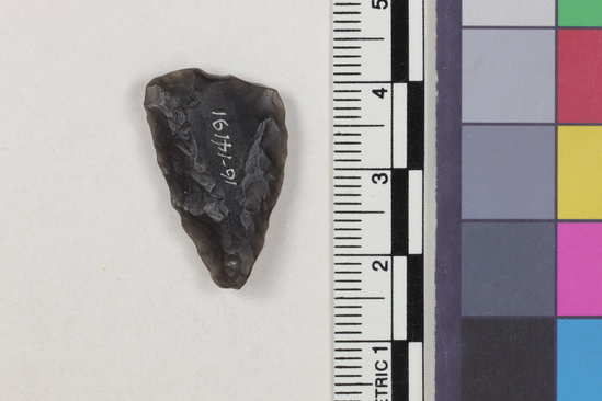 Hearst Museum object 1 of 2 titled Projectile point fragment, accession number 16-14191, described as Projectile point; obsidian; triangular; weight: 2.15 grams; length: 2.5 cm; width: 1.6 cm; depth: 0.5 cm; straight sides, slight convex base.