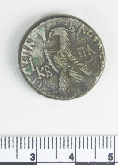 Hearst Museum object 7 of 8 titled Coin: billon tetradrachm, accession number 6-22383, described as Head of Ptolemy I, right, diademed, border of dots reverse: eagle on thunderbolt