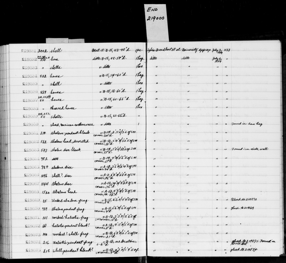 Documentation associated with Hearst Museum object titled Shell fragment, accession number 1-219875, described as Abalone shell fragment.  Glued to 1-219874.