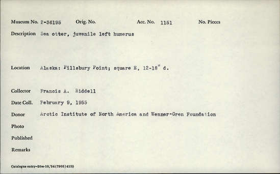 Documentation associated with Hearst Museum object titled Mammal bone, accession number 2-36195, described as Sea otter, juvenile, left humerus.