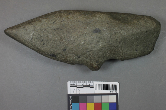 Hearst Museum object titled Adze blade, accession number 2-19129, described as Stone adze blade