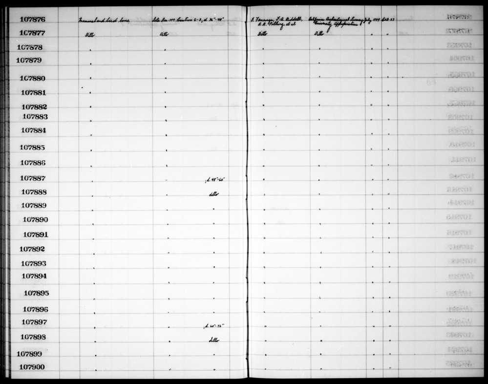 Documentation associated with Hearst Museum object titled Faunal remains, accession number 1-107890, described as Mammal and bird bone.