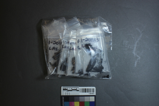 Hearst Museum object titled Points, accession number 1-201813, described as Obsidian arrow points and fragments