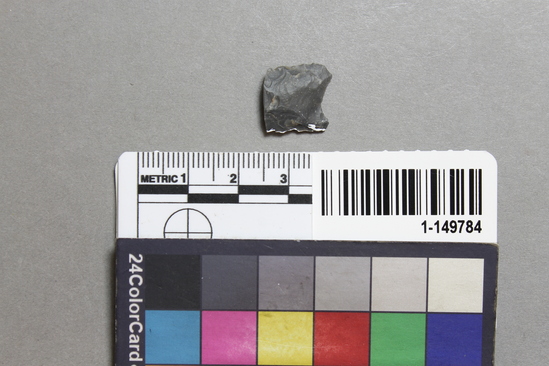 Hearst Museum object titled Point fragment, accession number 1-149784, described as Obsidian projectile, parallel sides, concave base