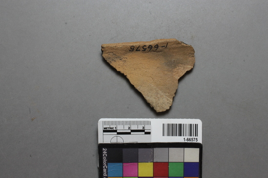 Hearst Museum object titled Ceramic fragments, accession number 1-66575, described as Potsherd, Palomas Stucco, bowl rim