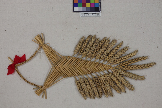 Hearst Museum object titled Corn dolly, accession number 7-5904, described as Corn dolly; wheat straw, plaited; elongated “v” shape, flat; trimmed with pendant wheat heads; braided loop attached to points at top; red ribbon bow on loop; max. height 40 cm; width 17 cm