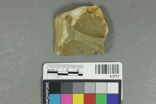 Hearst Museum object titled Scraper, accession number 5-3772, described as Chert scraper (?); 5.5 x 4.8 cm.