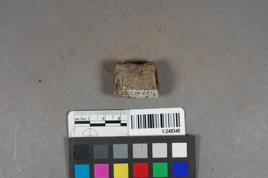 Hearst Museum object titled Cork, accession number 1-249340, described as Cork; whole